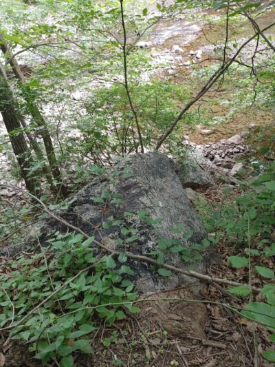 Riven Rock Park - Hinton, VA