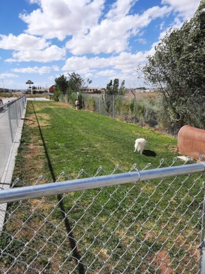 Holbrook Dog Park - Holbrook, AZ