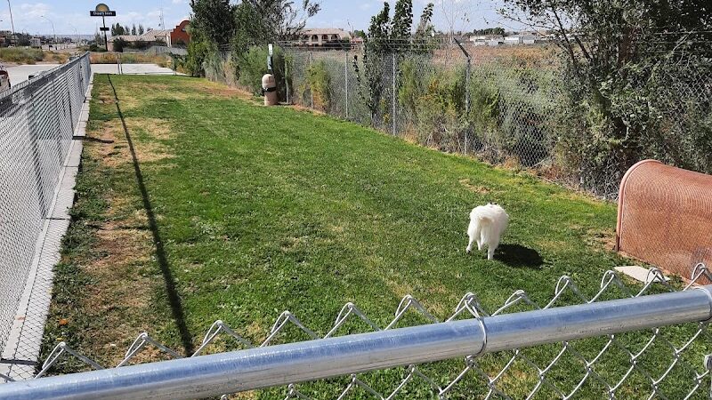Holbrook Dog Park - Holbrook, AZ