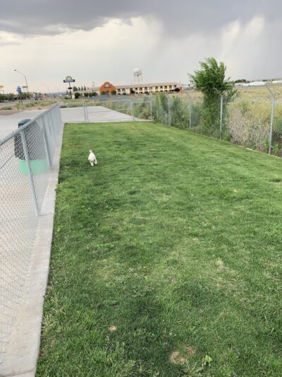 Holbrook Dog Park - Holbrook, AZ