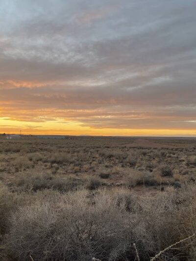 Holbrook Dog Park - Holbrook, AZ