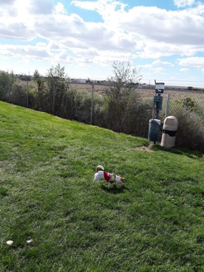 Holbrook Dog Park - Holbrook, AZ