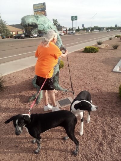 Holbrook Dog Park - Holbrook, AZ