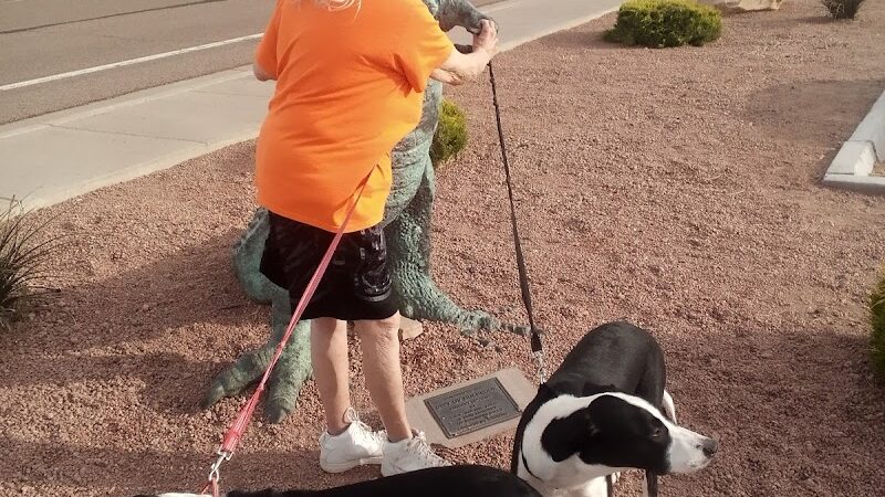 Holbrook Dog Park - Holbrook, AZ
