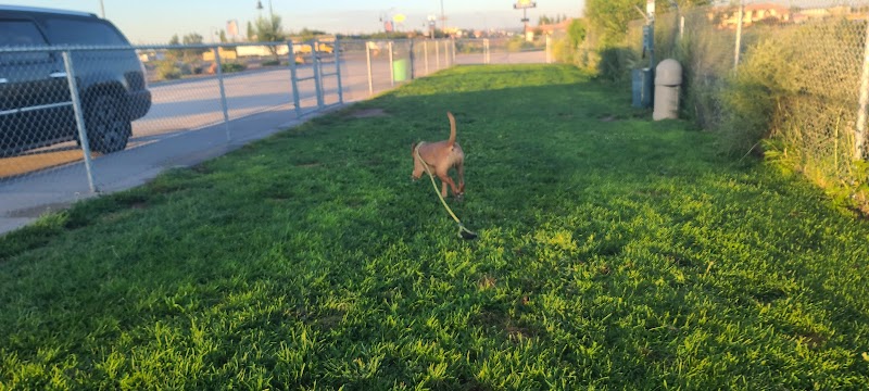 Holbrook Dog Park - Holbrook, AZ
