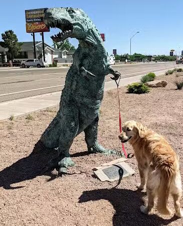 Holbrook Dog Park - Holbrook, AZ