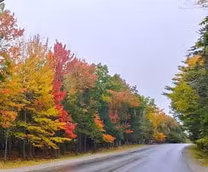 Holden - Holden, ME
