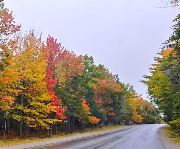 Holden - Holden, ME