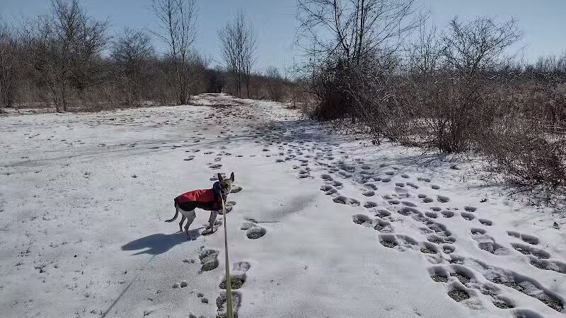 Dog Park at Van Raalte Farm Park - Holland, MI