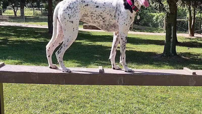 Dog Park at Van Raalte Farm Park - Holland, MI