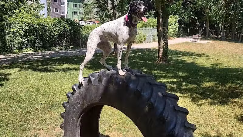 Dog Park at Van Raalte Farm Park - Holland, MI