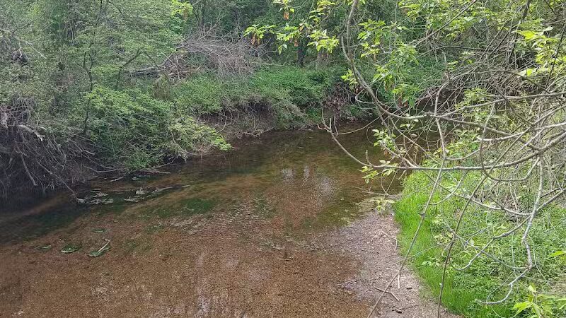 Dog Park at Van Raalte Farm Park - Holland, MI
