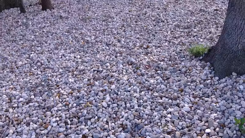 Large Dog Park at Park Township Park - Holland, MI