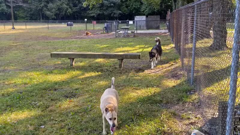 Large Dog Park at Park Township Park - Holland, MI