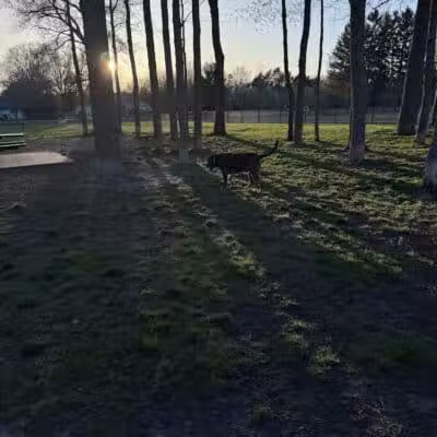 Large Dog Park at Quincy Park - Holland, MI