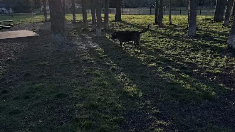 Large Dog Park at Quincy Park - Holland, MI