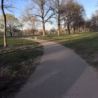 Large Dog Park at Quincy Park - Holland, MI