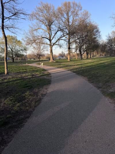Large Dog Park at Quincy Park - Holland, MI