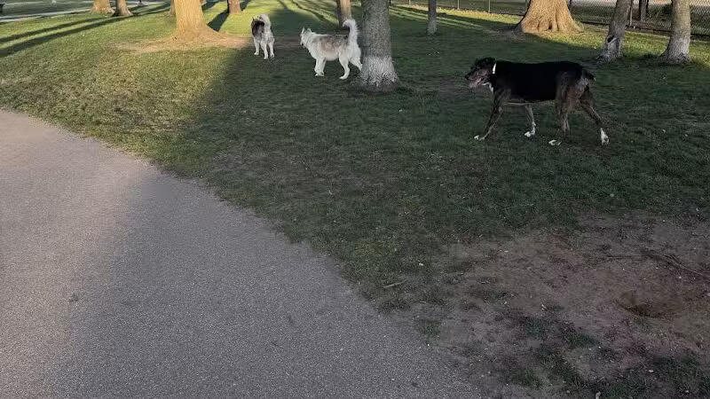 Large Dog Park at Quincy Park - Holland, MI