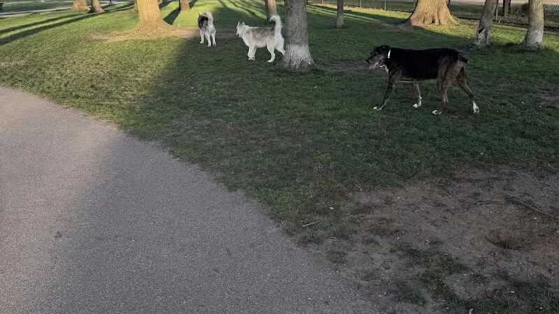 Large Dog Park at Quincy Park - Holland, MI