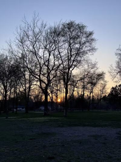 Large Dog Park at Quincy Park - Holland, MI