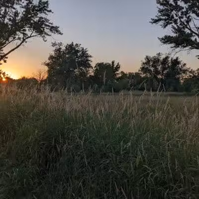 Paw Paw Park (East) - Holland,