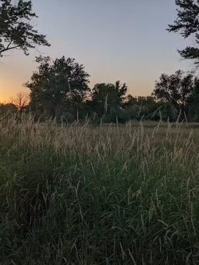 Paw Paw Park (East) - Holland,