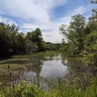 Paw Paw Park (East) - Holland,