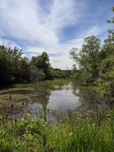 Paw Paw Park (East) - Holland,