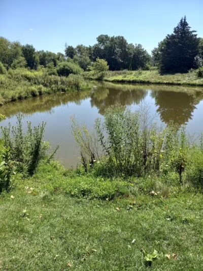 Paw Paw Park (East) - Holland,