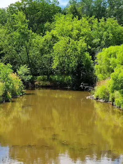 Paw Paw Park (East) - Holland,