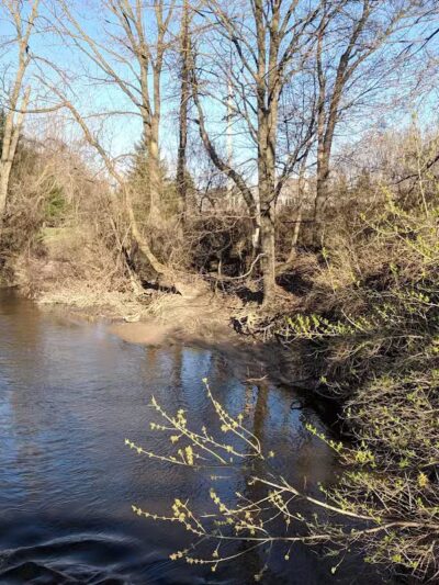 Paw Paw Park (East) - Holland,