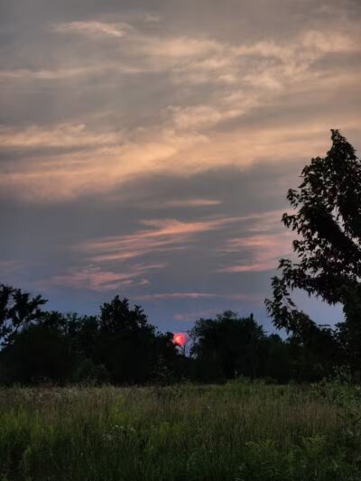 Paw Paw Park (East) - Holland,