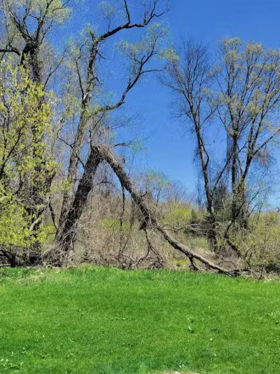 Paw Paw Park (East) - Holland,