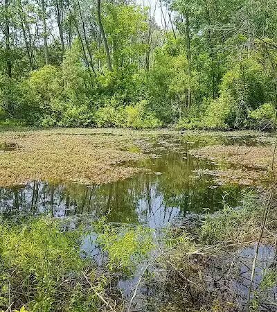 Paw Paw Park (West) - Holland,