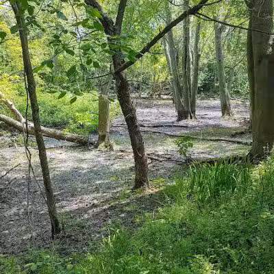 Paw Paw Park (West) - Holland,