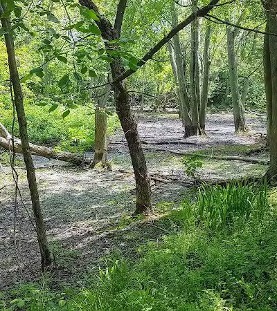 Paw Paw Park (West) - Holland,