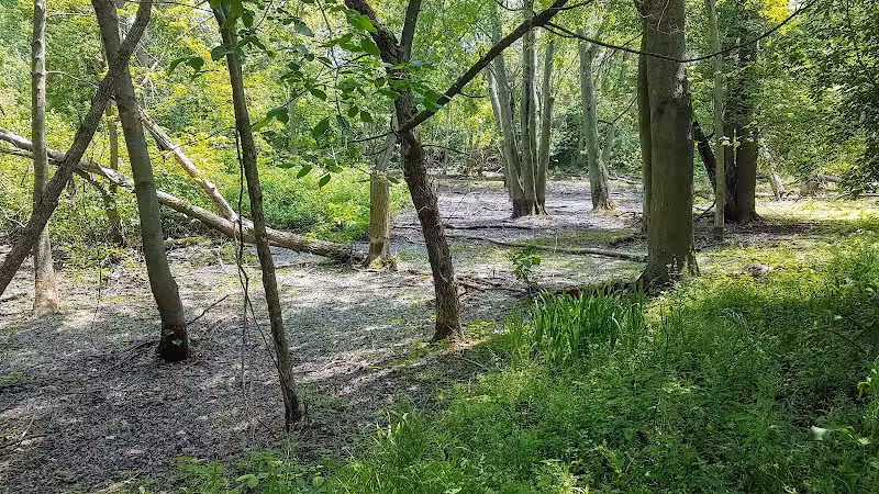 Paw Paw Park (West) - Holland,