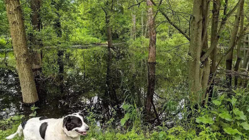 Paw Paw Park (West) - Holland,