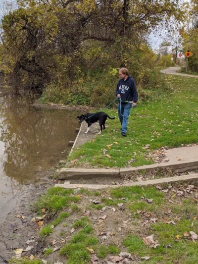 Paw Paw Park (West) - Holland,