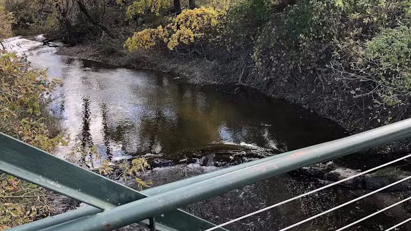 Paw Paw Park (West) - Holland,