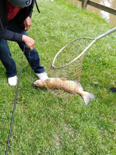 Paw Paw Park (West) - Holland,