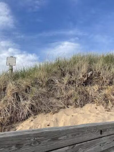 Tunnel Park - Holland,