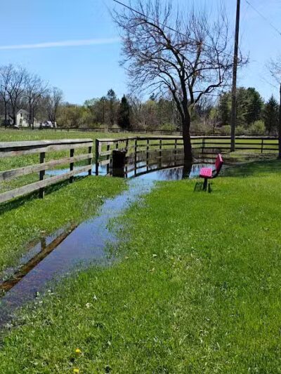 Dearborn Park - Holly,