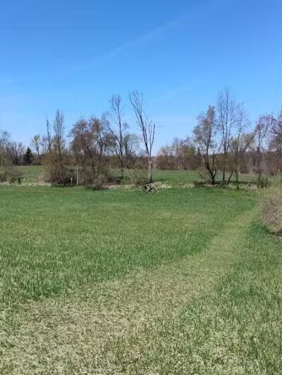 Dearborn Park - Holly,