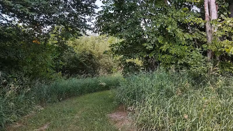 Dearborn Park - Holly,