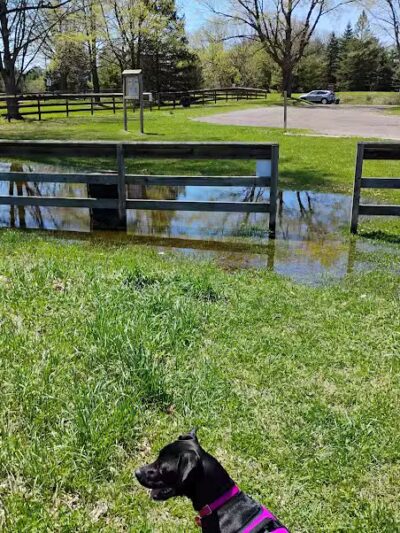 Dearborn Park - Holly,