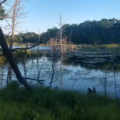 Highland Oaks County Park - Holly,