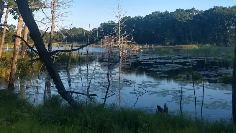 Highland Oaks County Park - Holly,