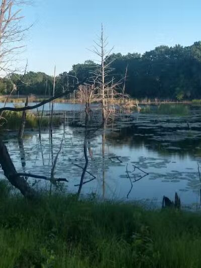 Highland Oaks County Park - Holly,
